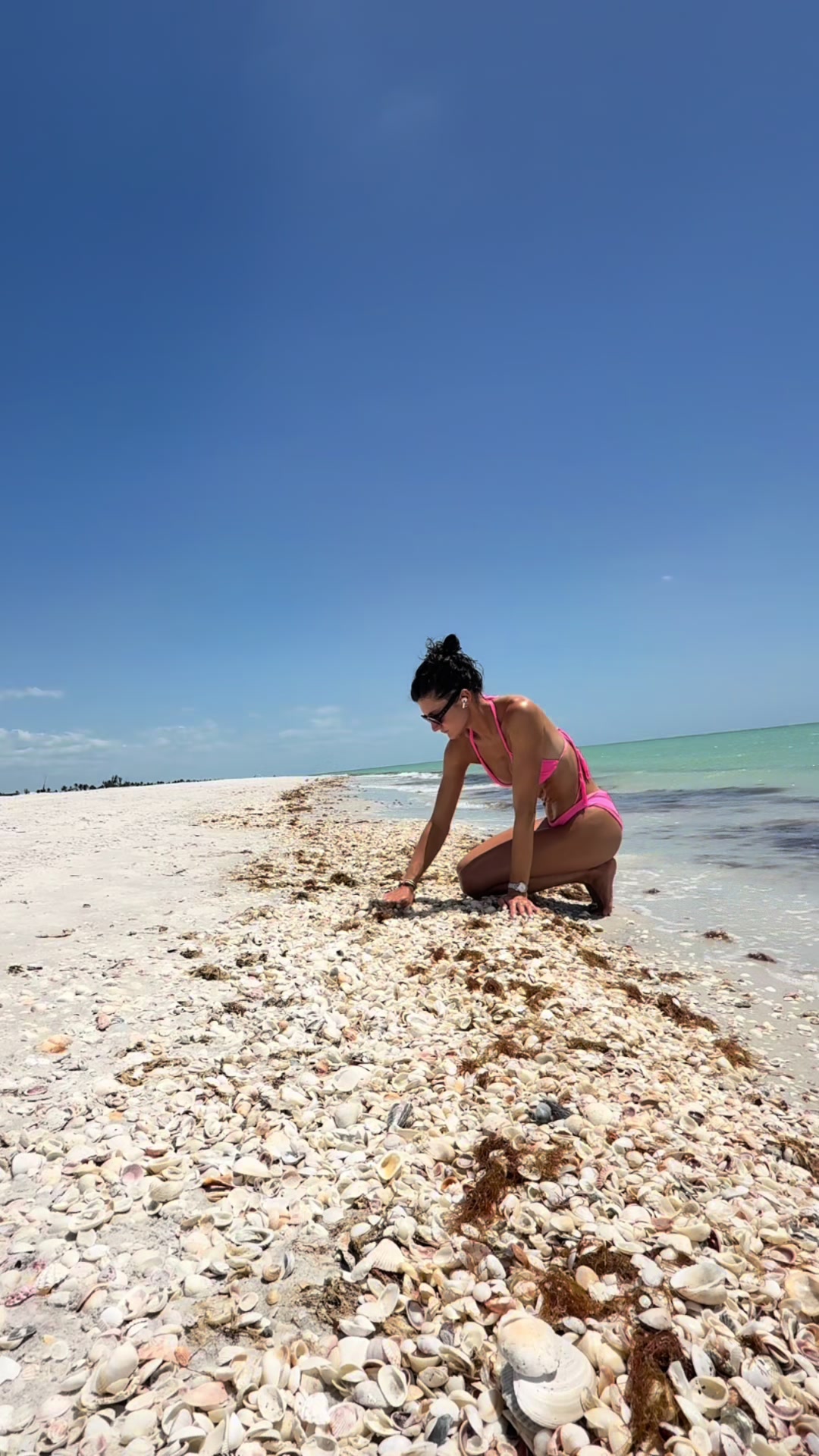 @Sanibel Sis