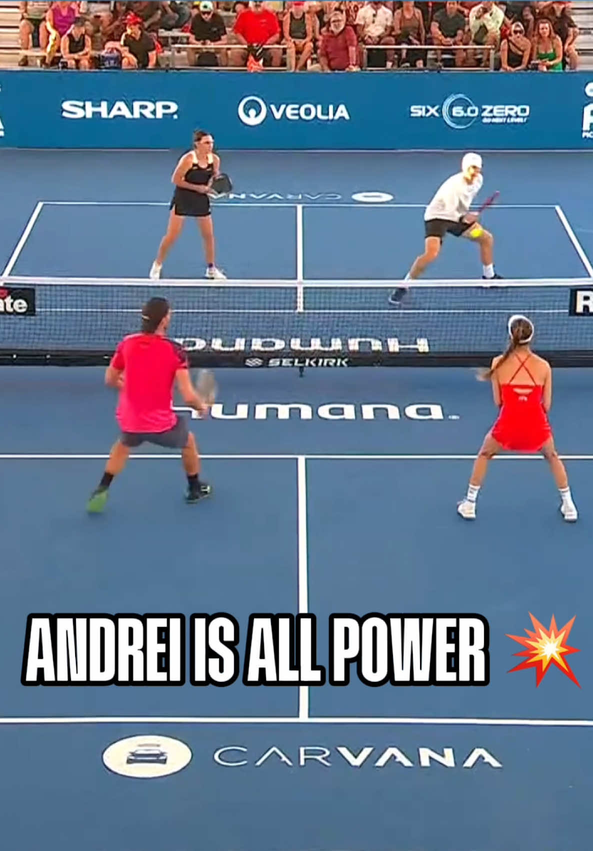 @pickleballdotcom