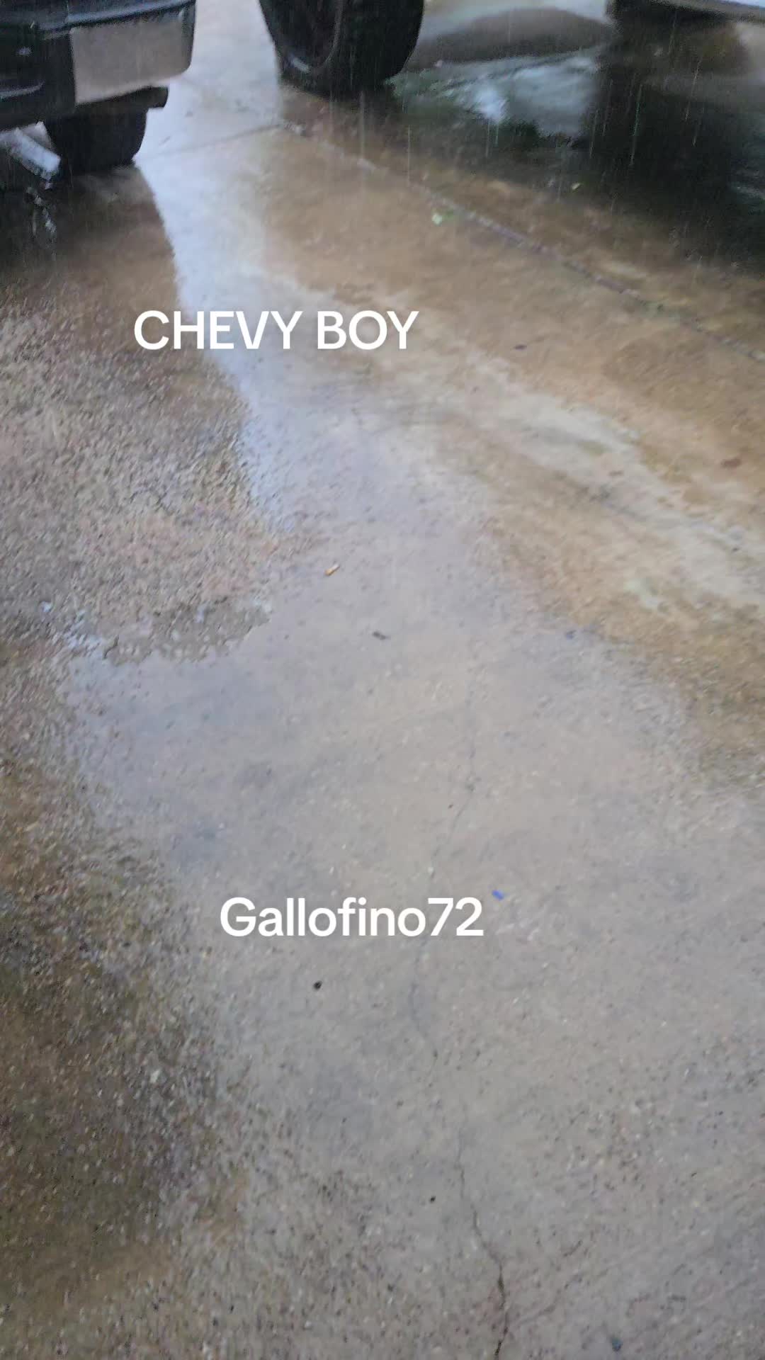 @ElGalloFino