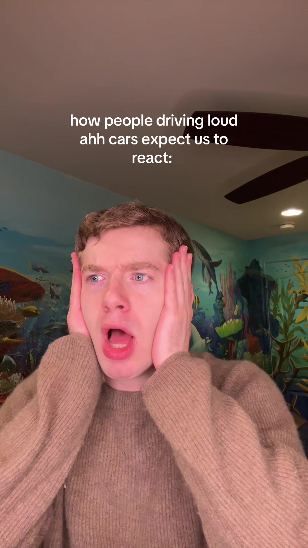 @joey morof