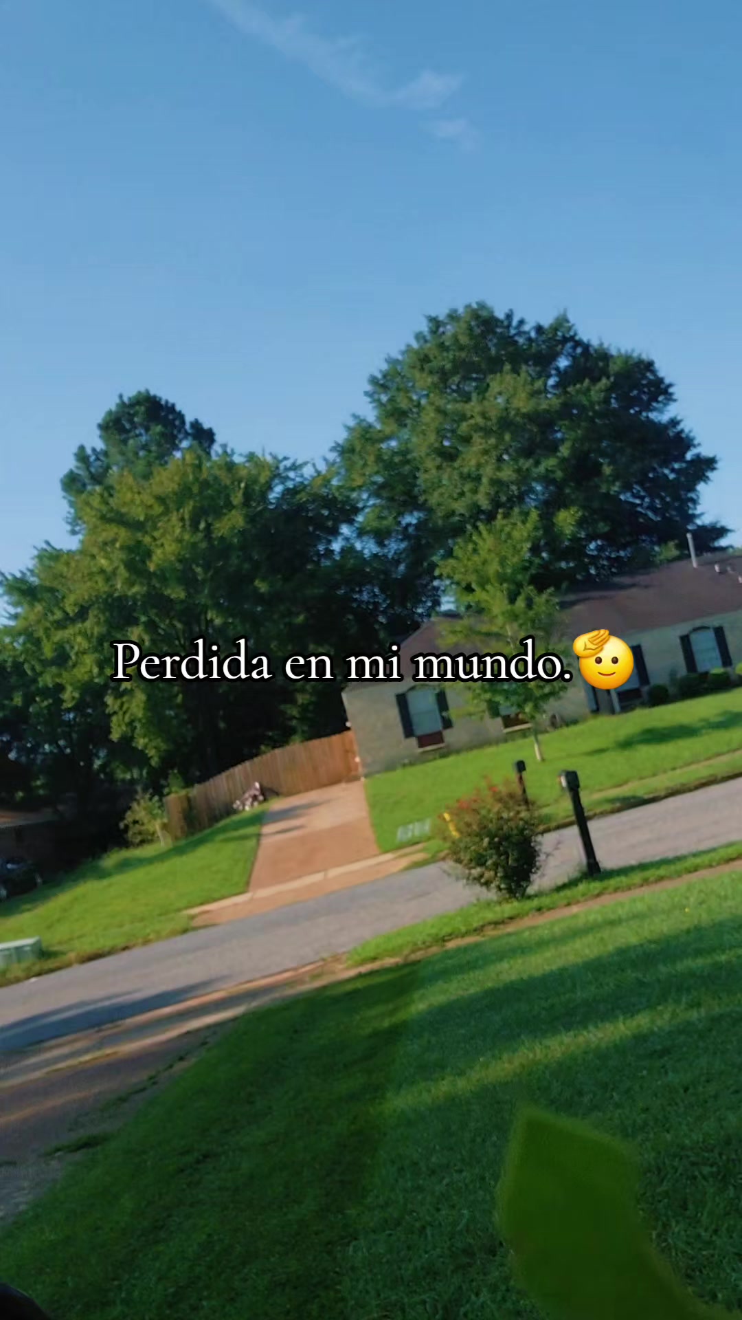 @Erika Castrejon