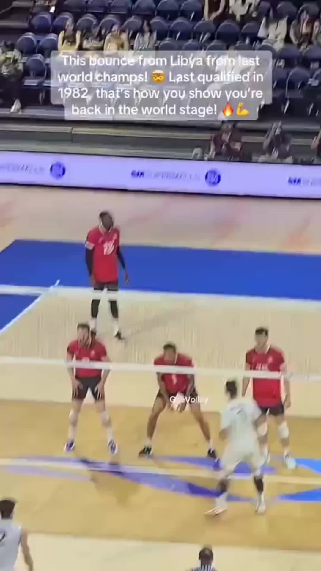 @PMElovesvolleyball