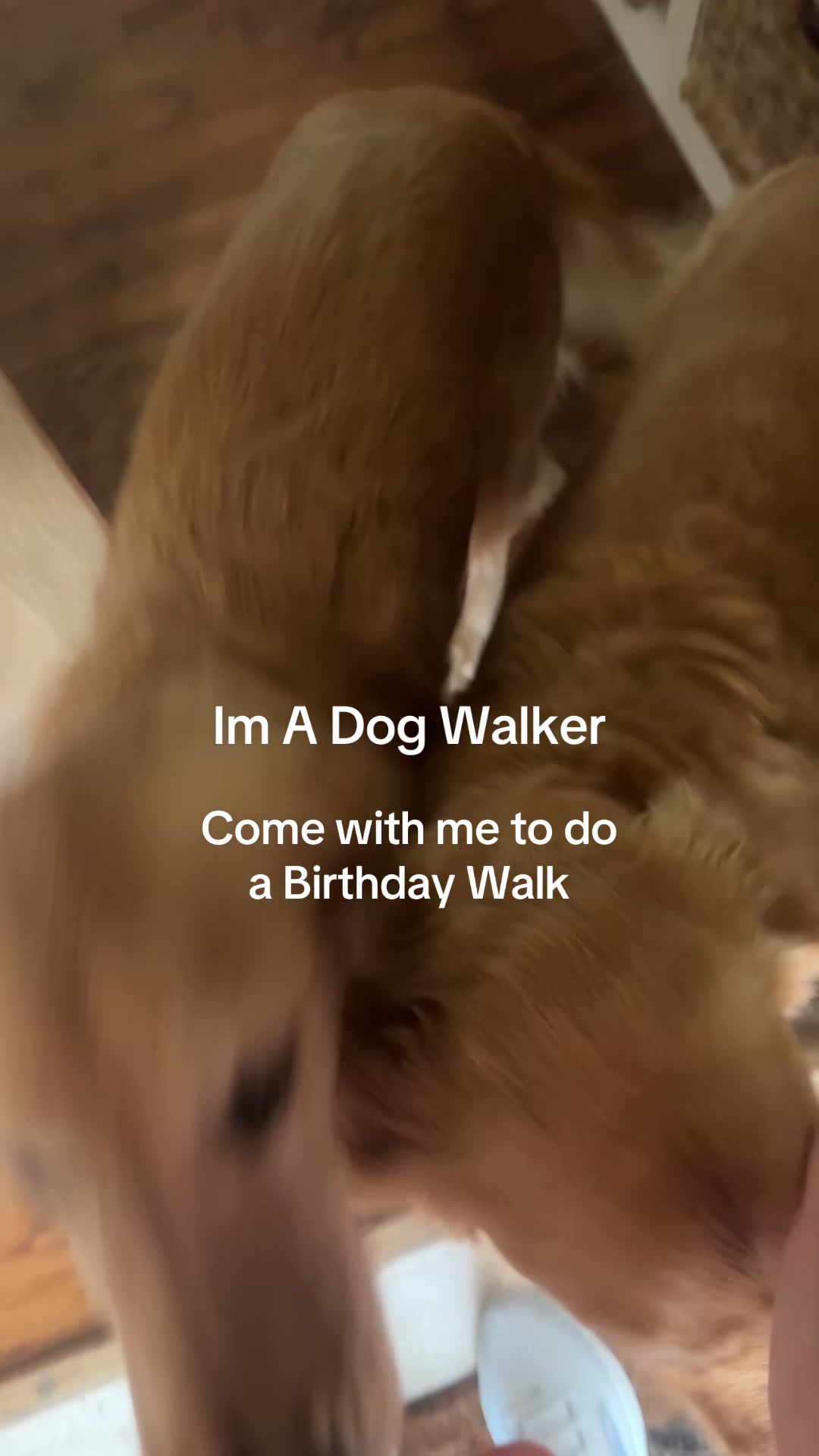 @dallasdogwalker