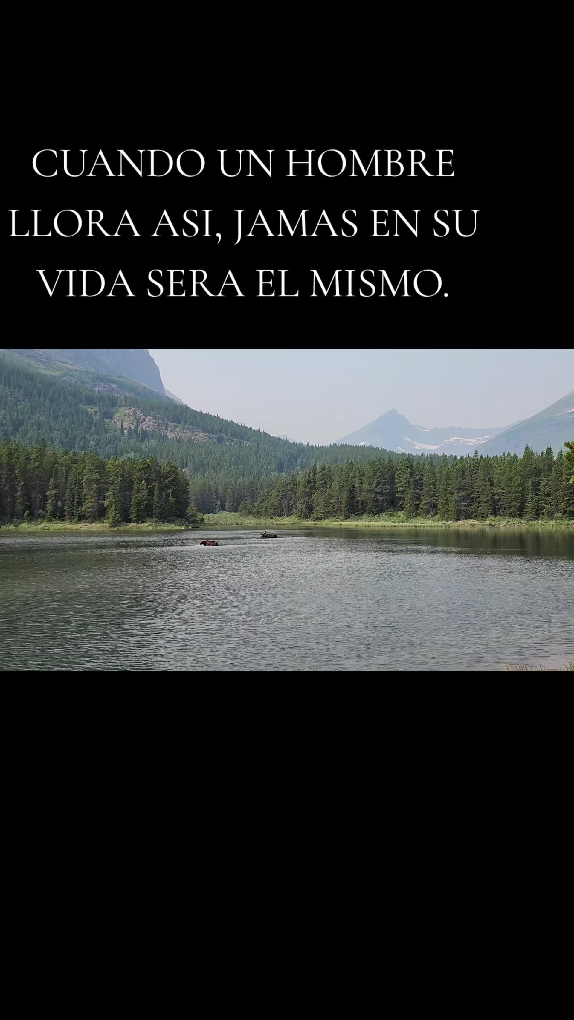 @Manuel urenda official