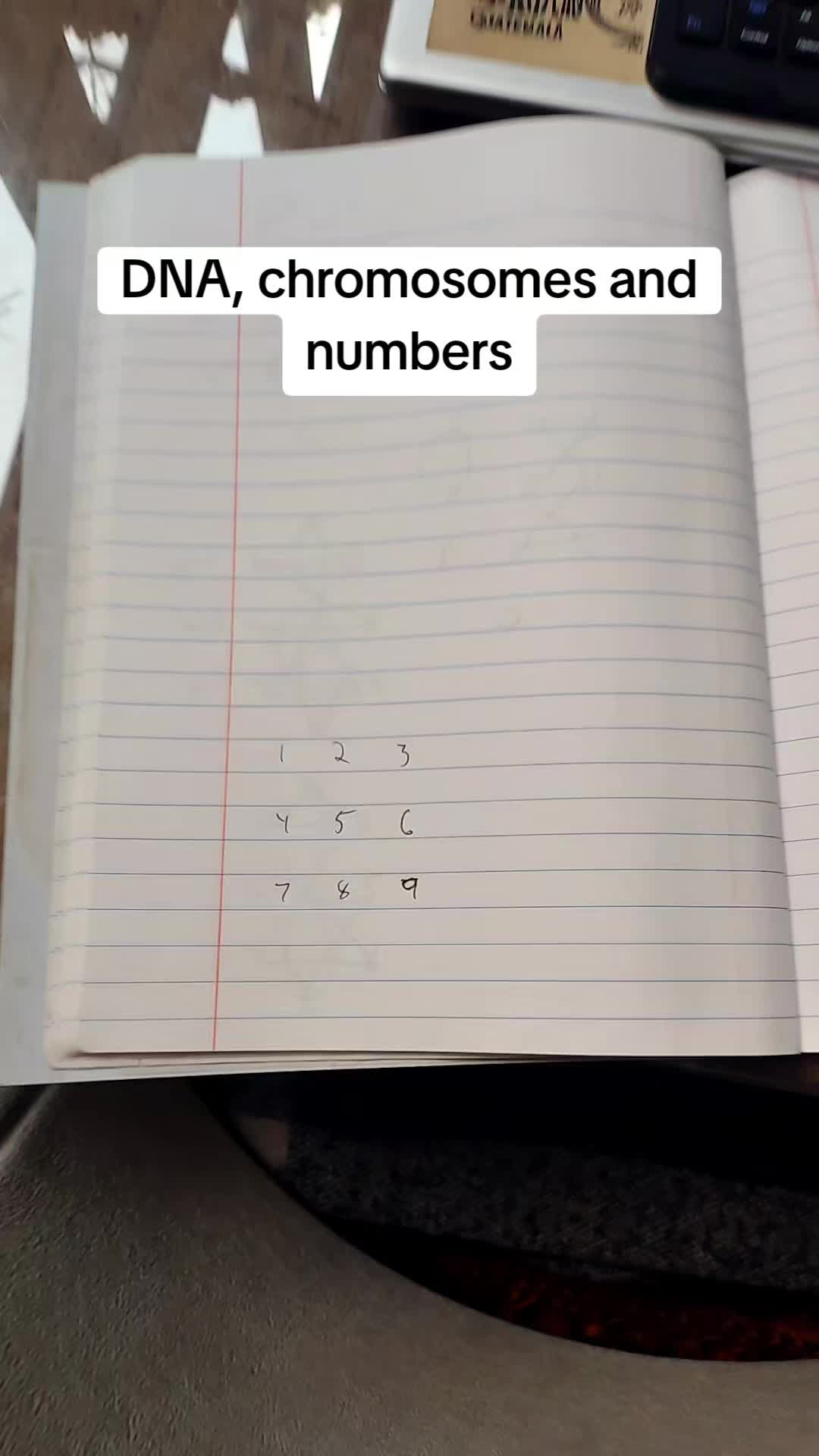 @kytholek