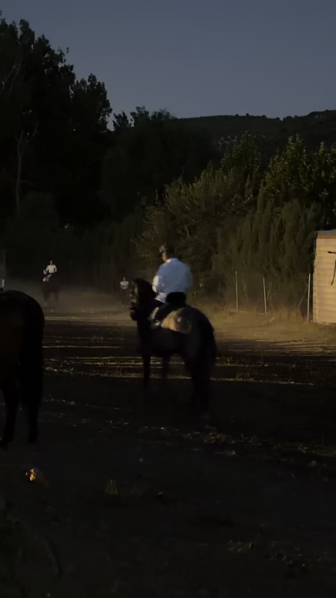@Sandra Molina🐎🇪🇸