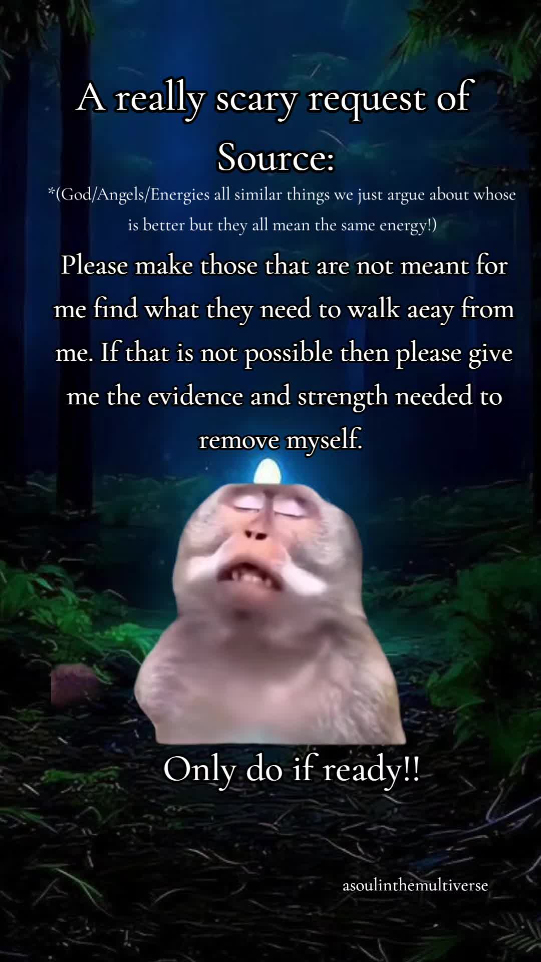 @A Soul in the Multiverse