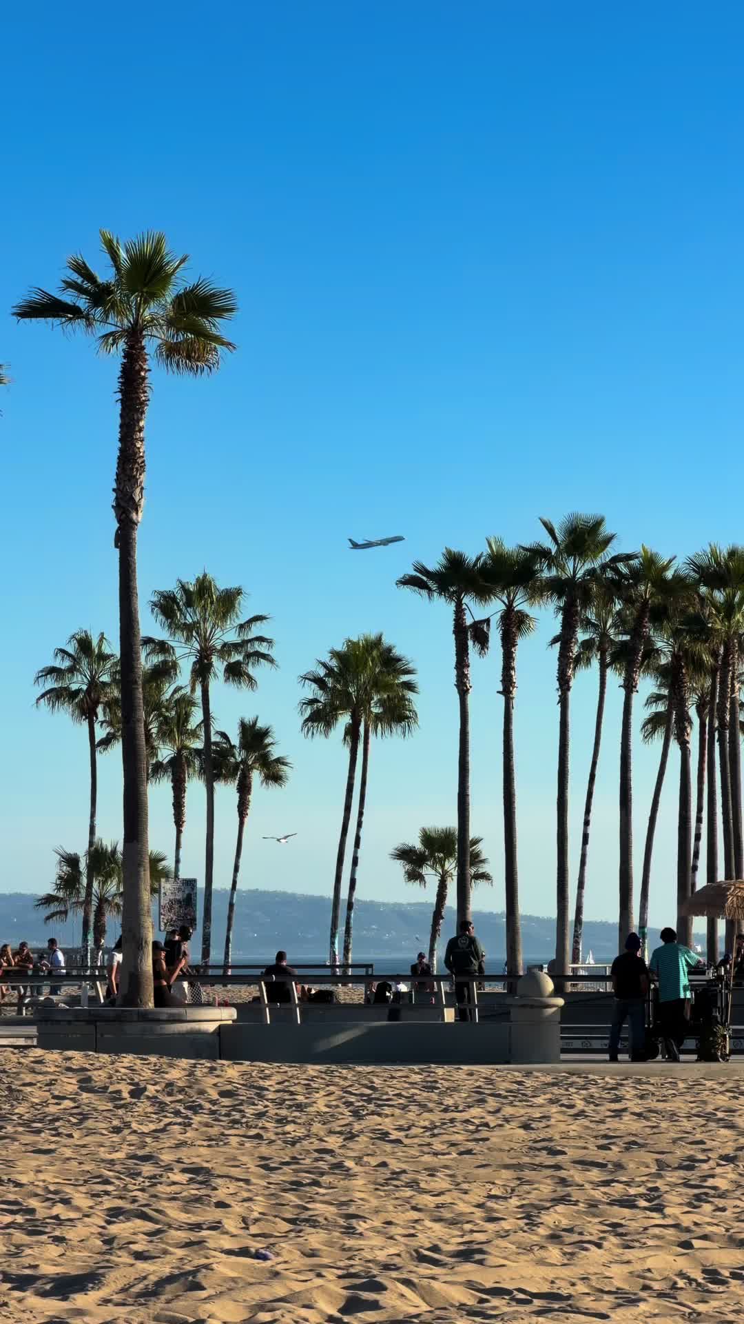 @Venice Beach Boardwalk