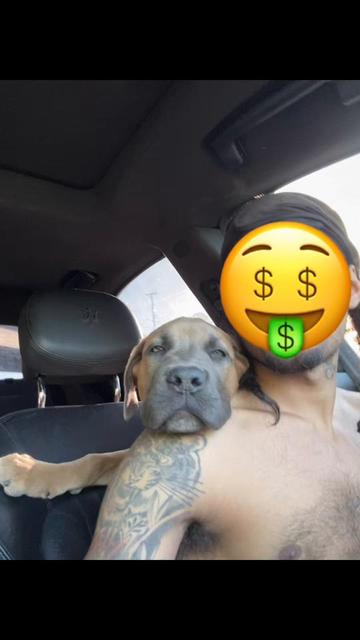 @CC.Corsos