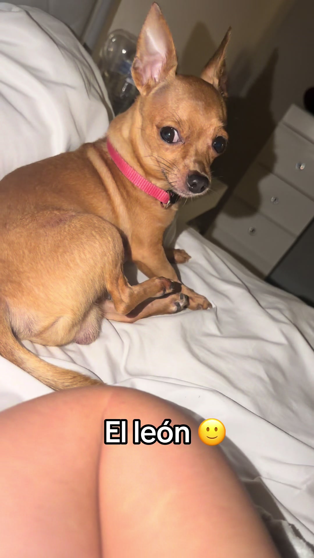 @Gloria Hernandez