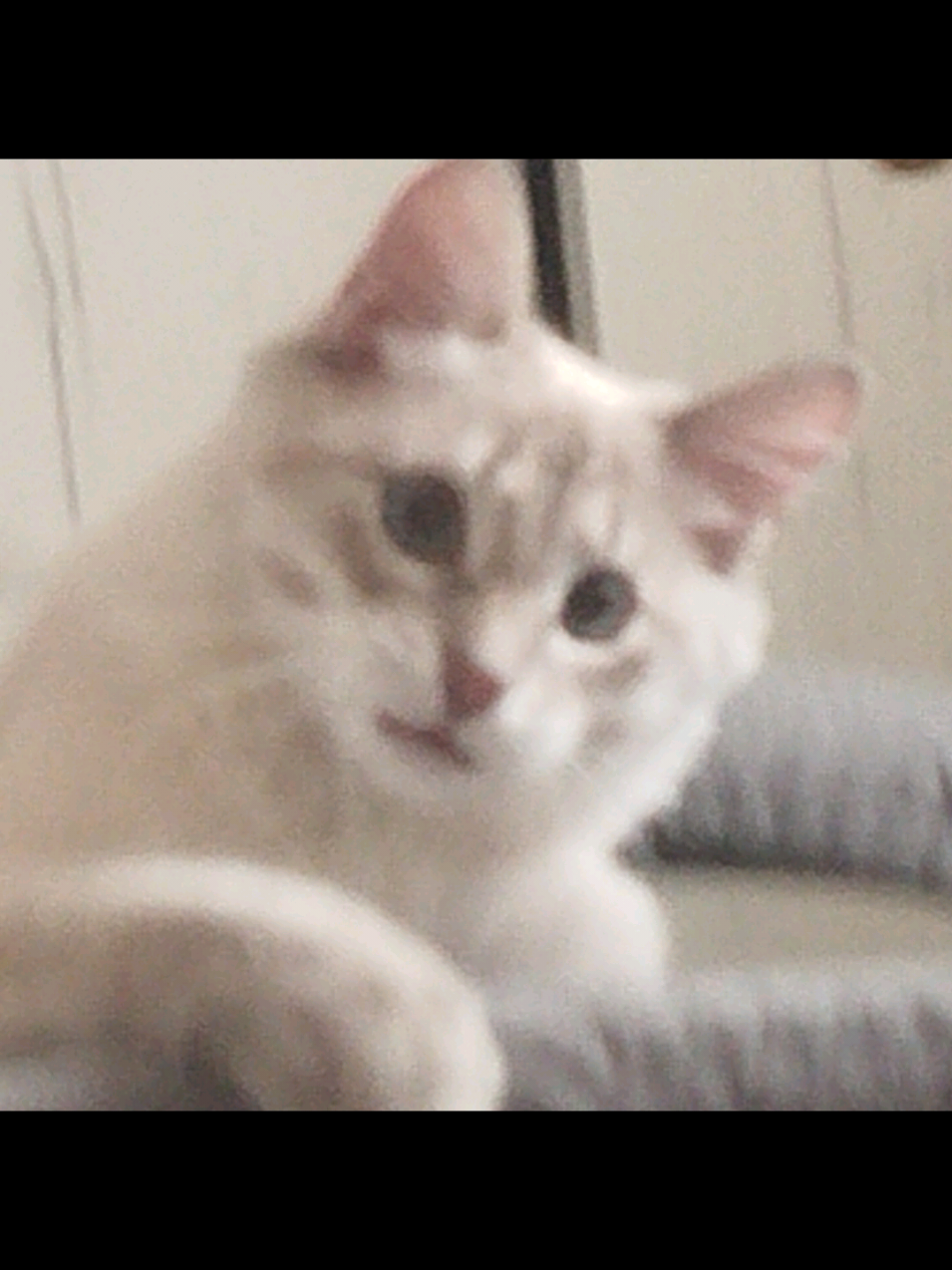@𝐋𝐨𝐤𝐞𝐫