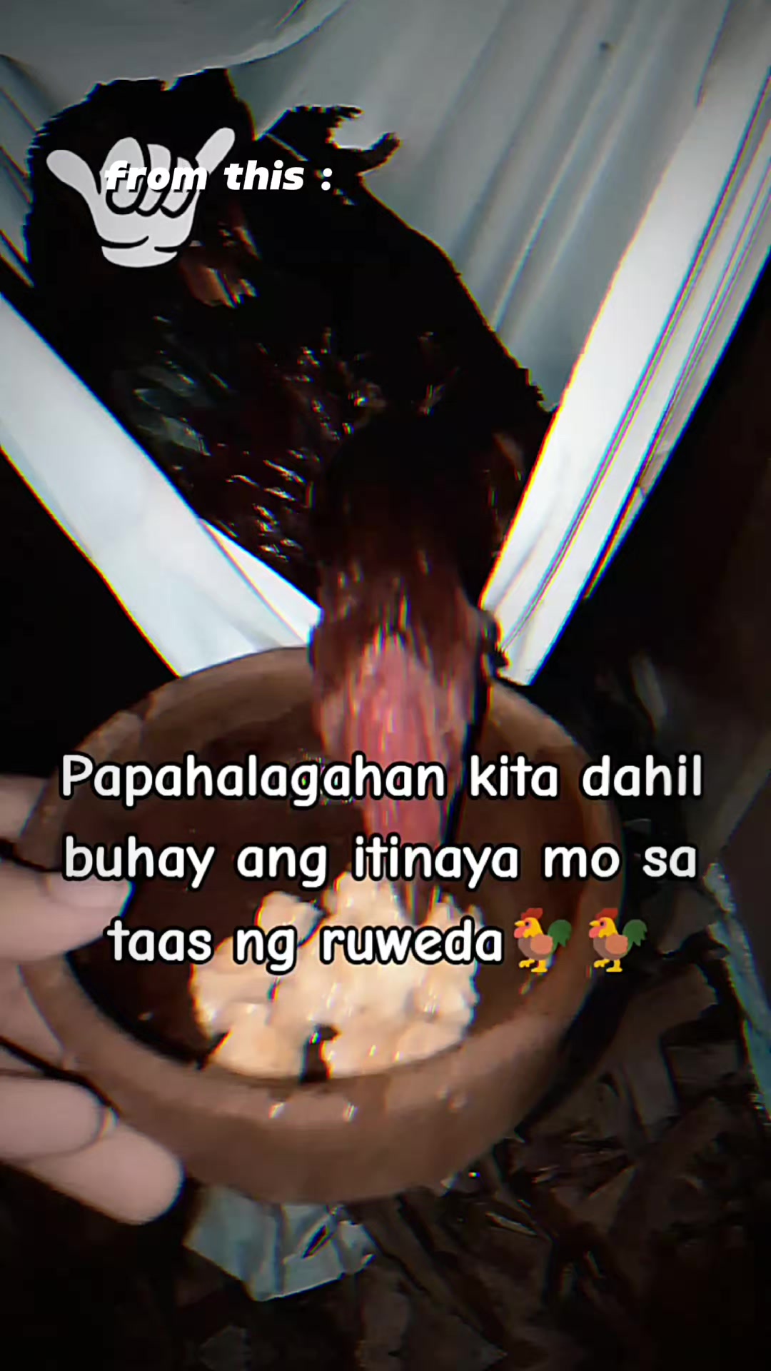 @Tatuy's BKYRD