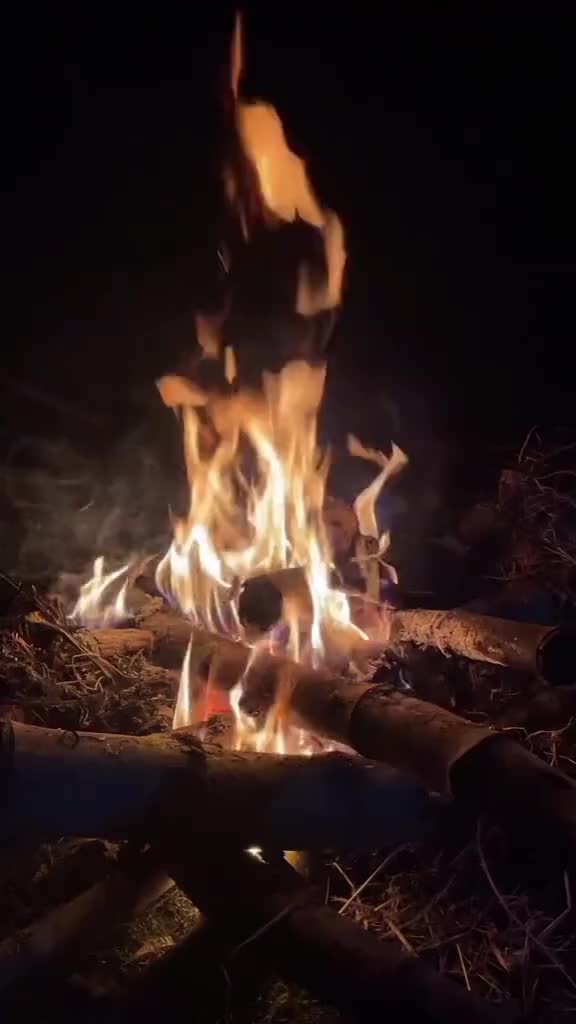 @ANKA KUŞU K&Uuml;LLERiNDEN DOĞUŞU