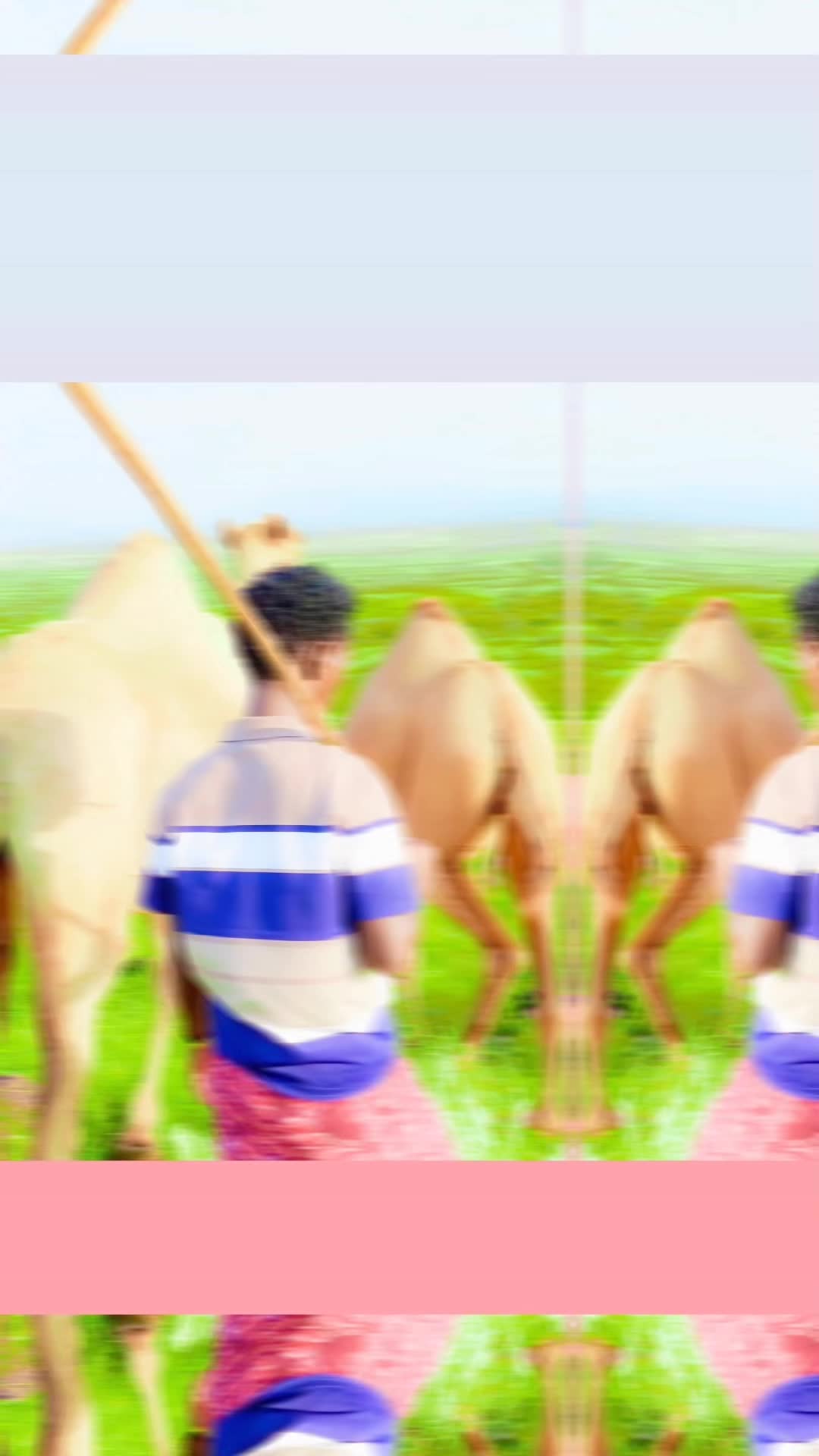 @๐๐๐ง๐๐จ๐ ๐๐๐ฌ๐๐ฃ๐๐ฅ๐ฅ