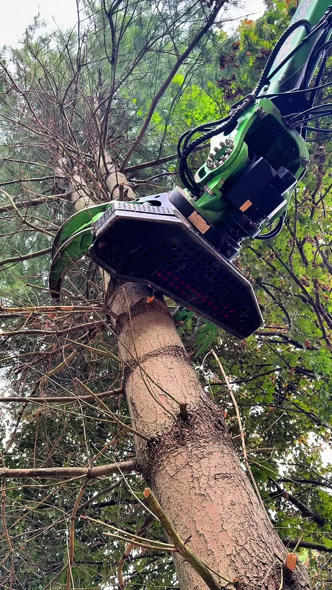 @kravitztreeservice