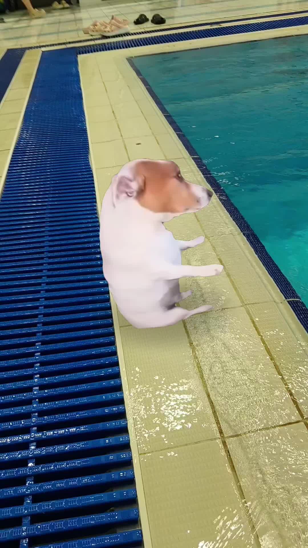 @шик шик