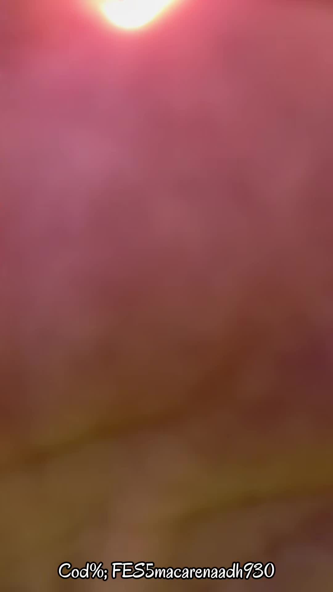 @macarena_adh