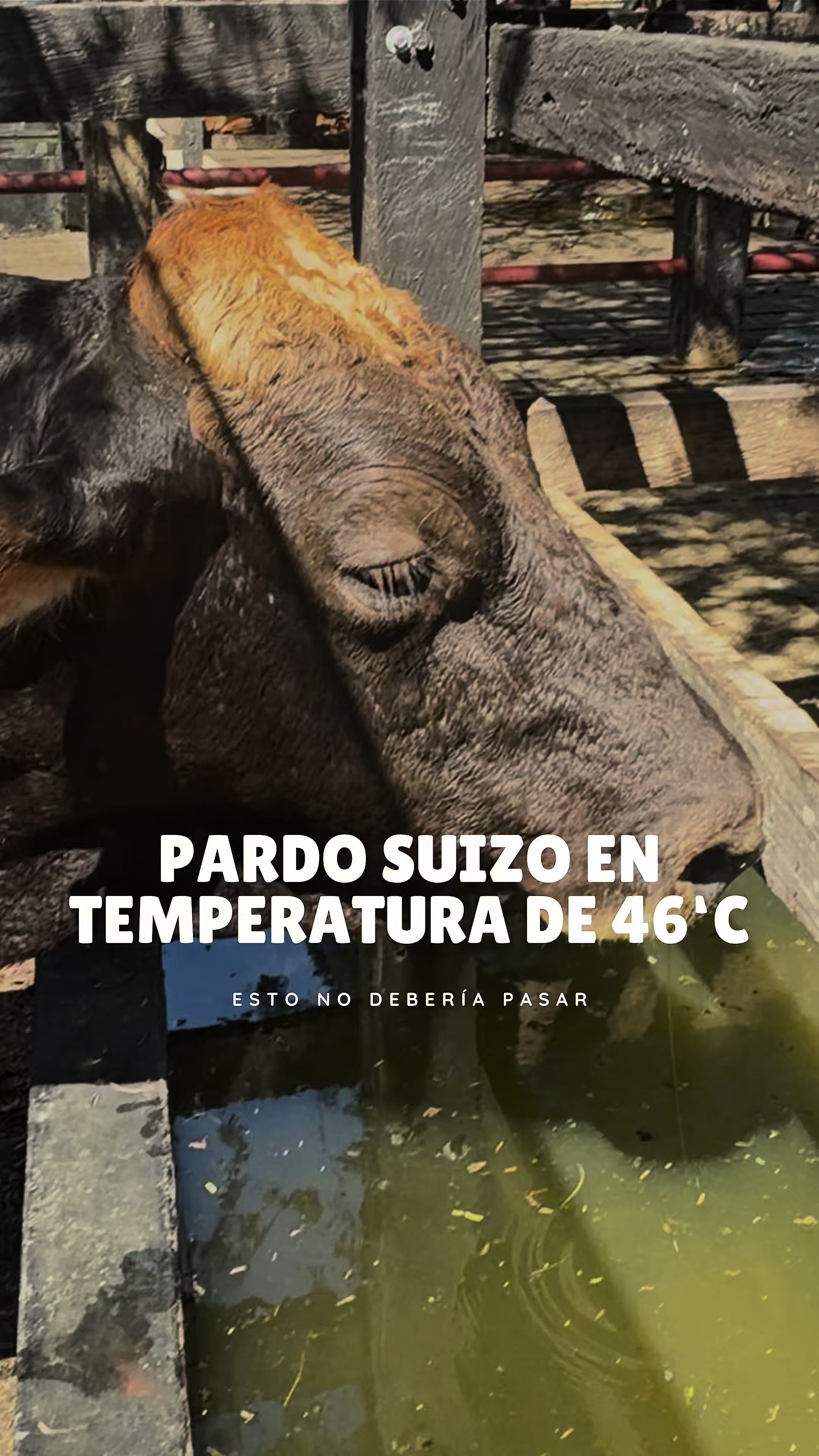 @Rehagronegocios