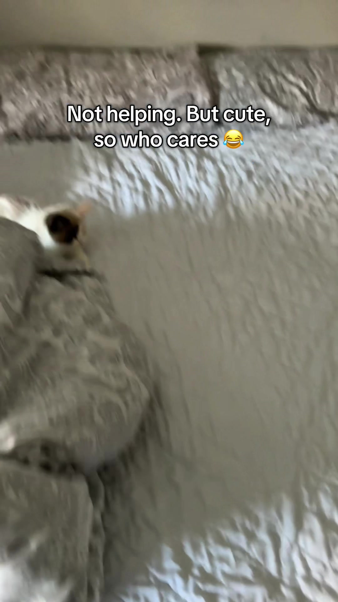@slavic_cat_mum