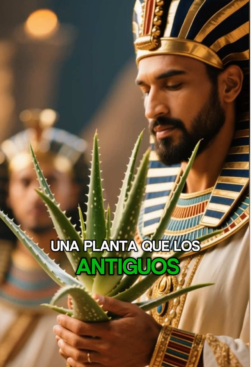 @curiosa historia en minutos