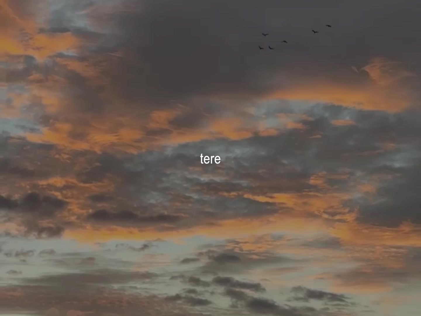 @ʟᴏꜰɪ ᴅʀᴇᴀᴍꜱ