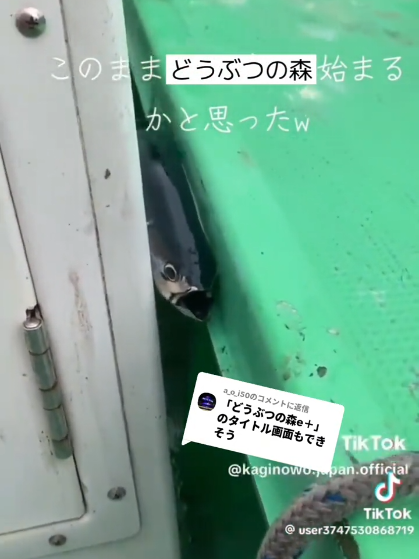 @タピオカ