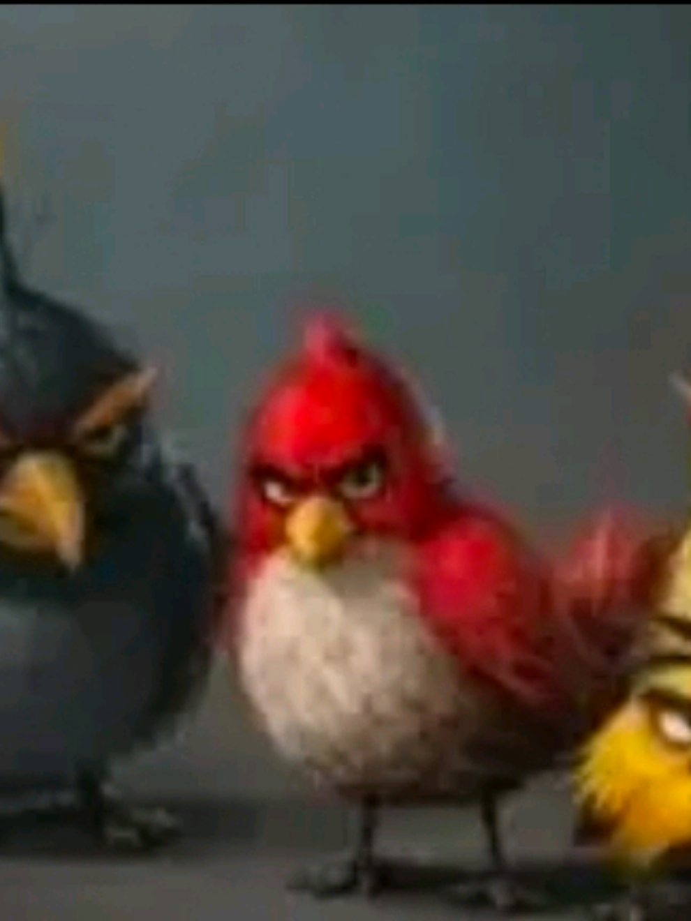 @thatrandomfellow