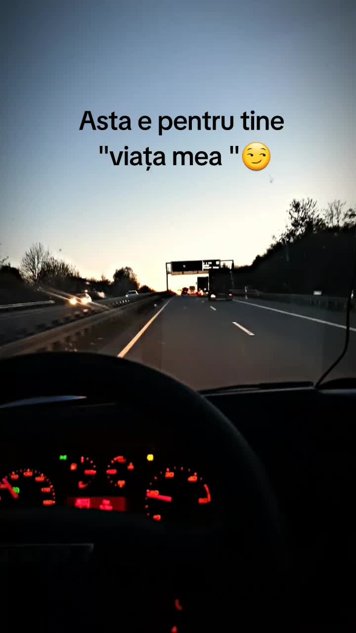 @Emilian Mandrila