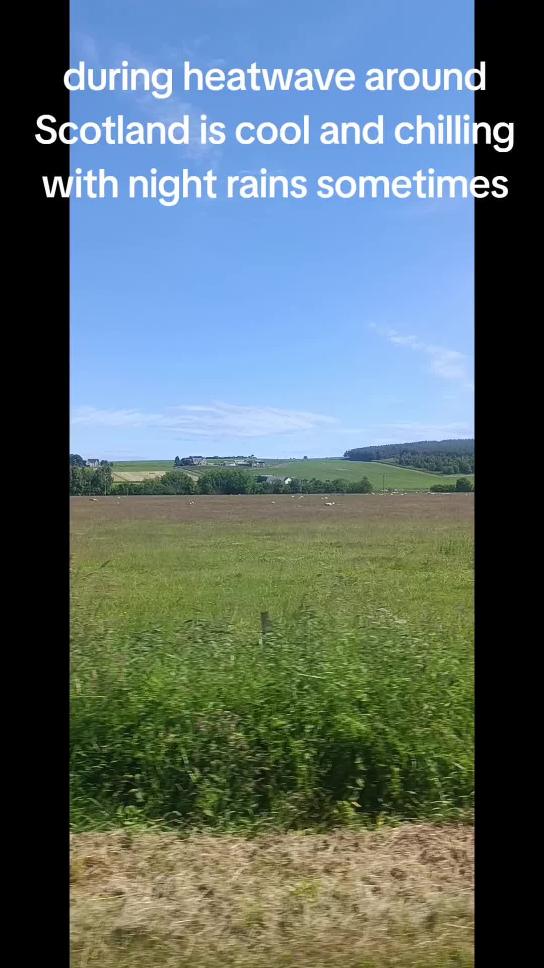 @AutoNina