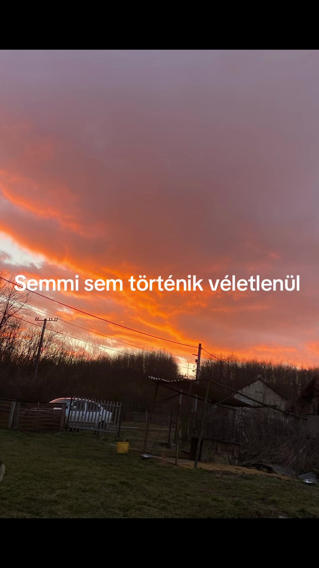 @Dorcixr