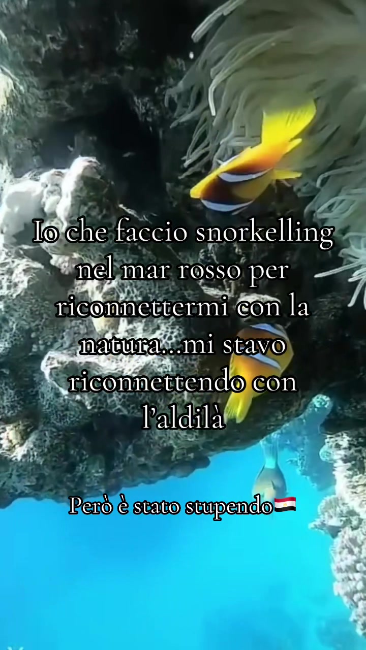 @ıllǝɹǝɯ
