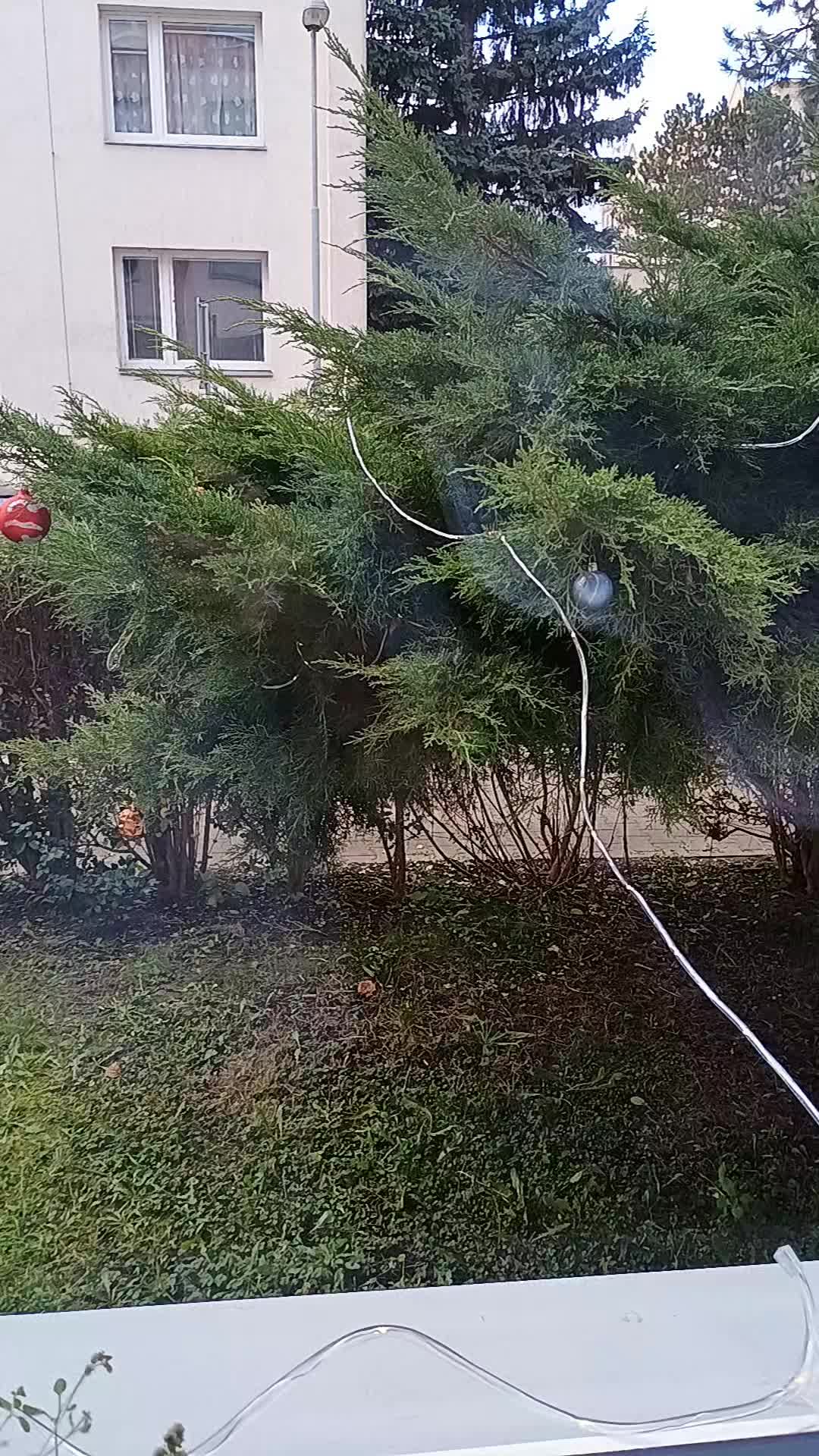 @Můžete pos&iacute;lat bal&iacute;ky