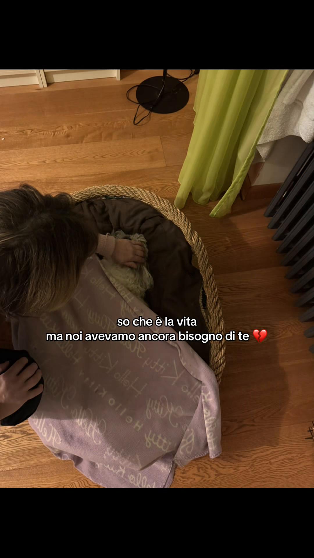 @_karinlissa