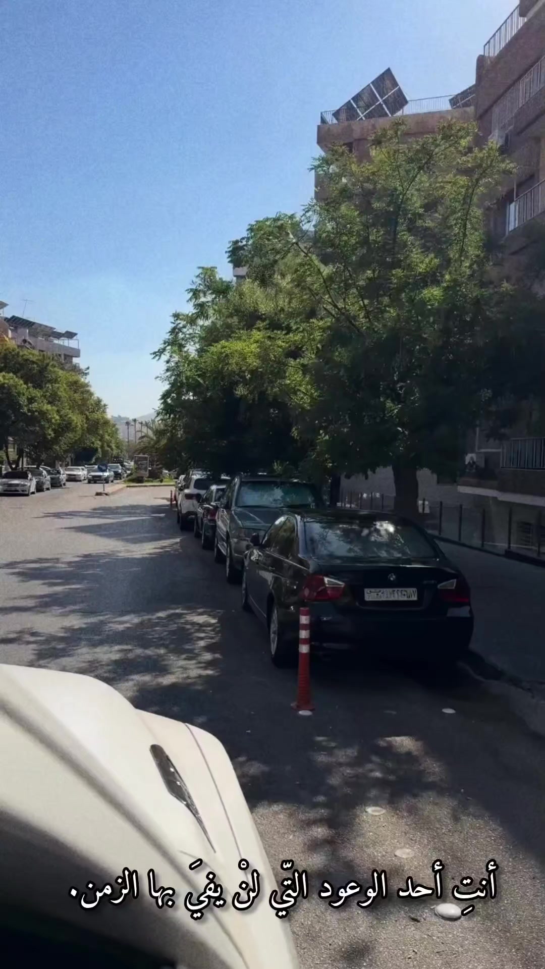 @سوري الهوى💚