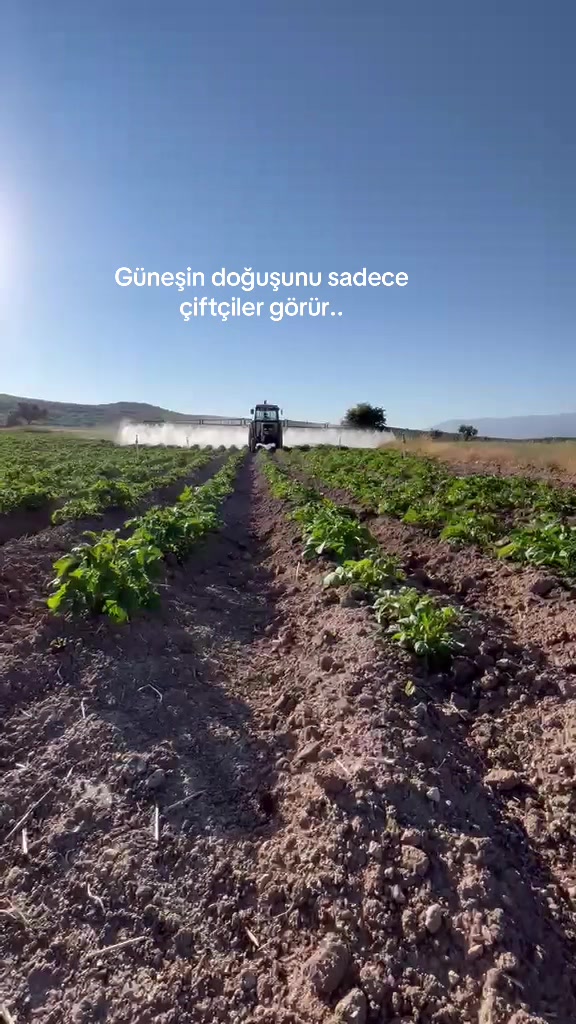 @Sezer Çkz