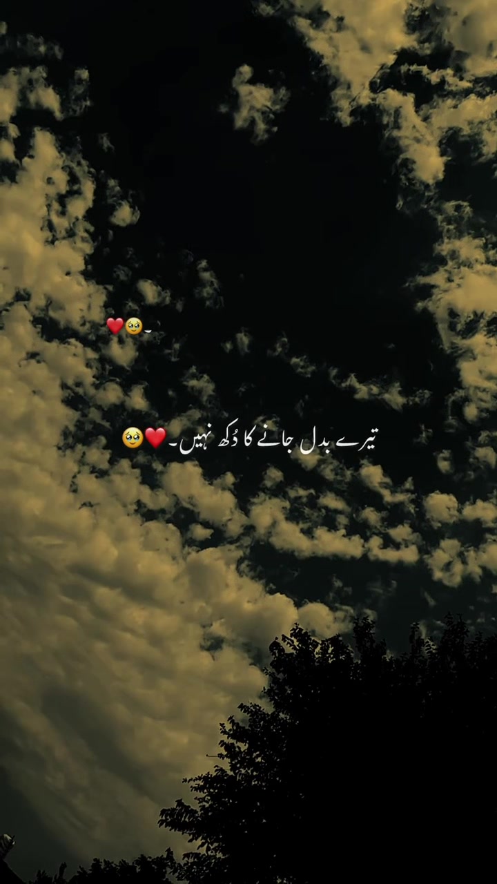 @🕊️