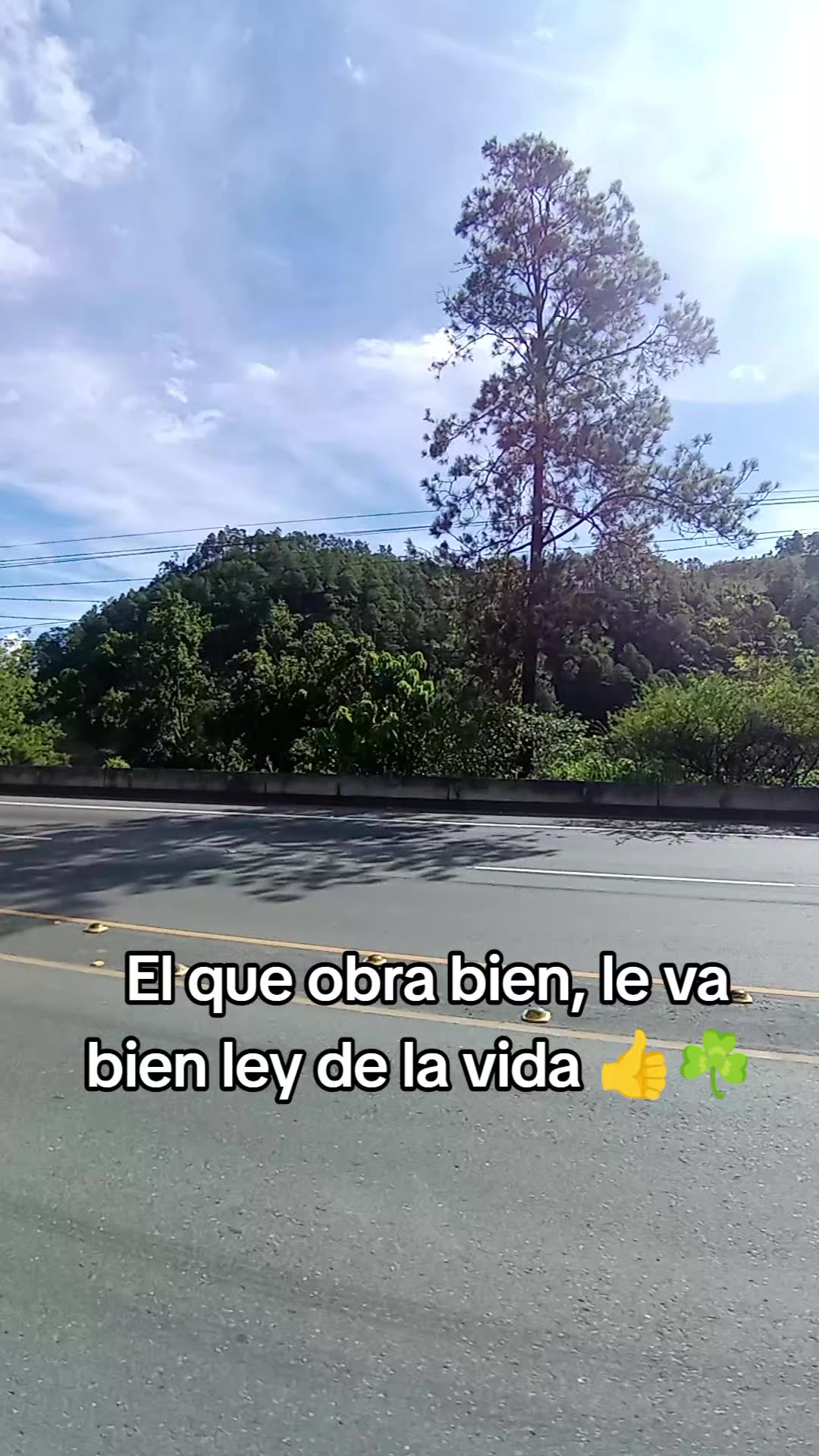 @wil urquia 🧸🍀
