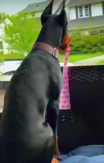@pakhtoon.khan37