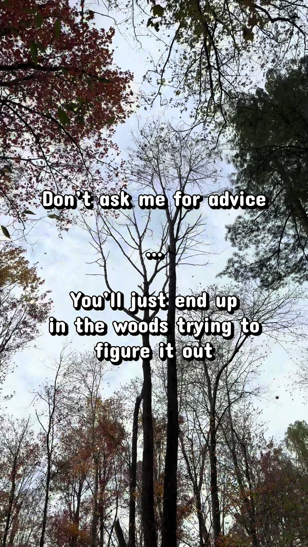 @Lilwolf