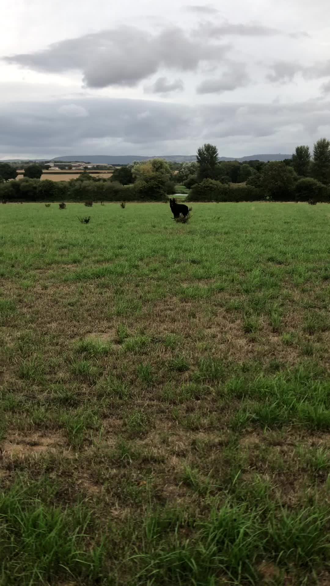 @🐶West Country K9s🐶