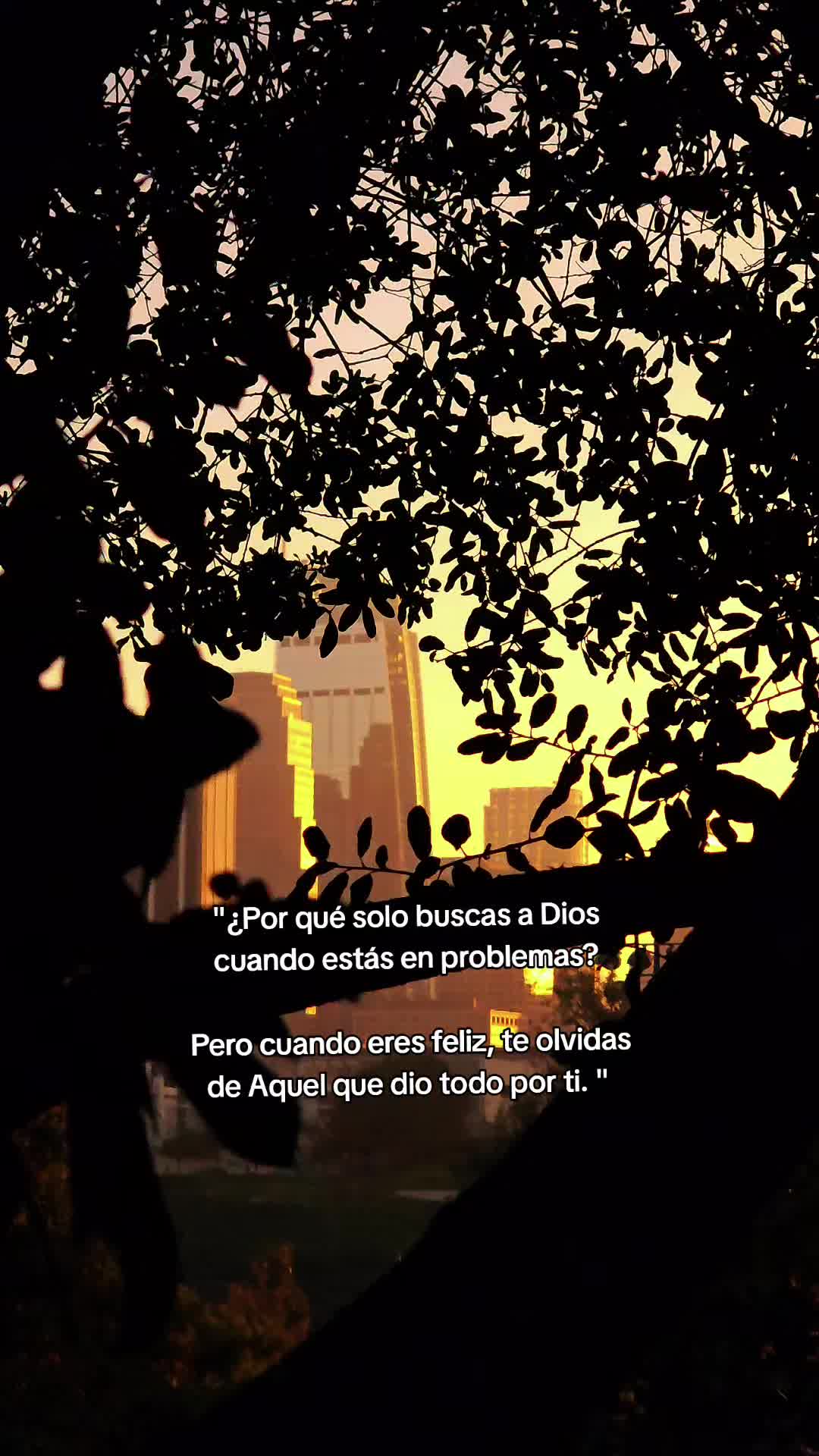 @BilsonGonzalez🔥