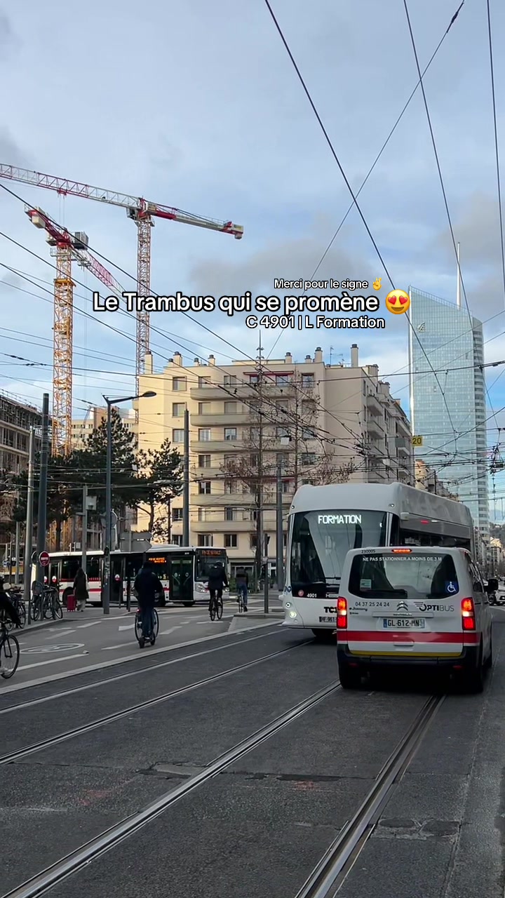 @🚍TCL_Bro🦁💛🟡