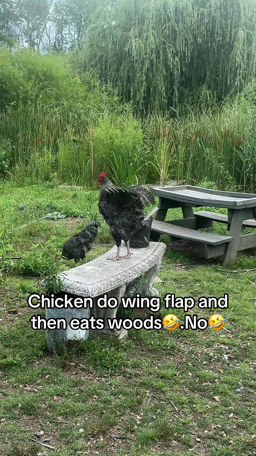 @No
