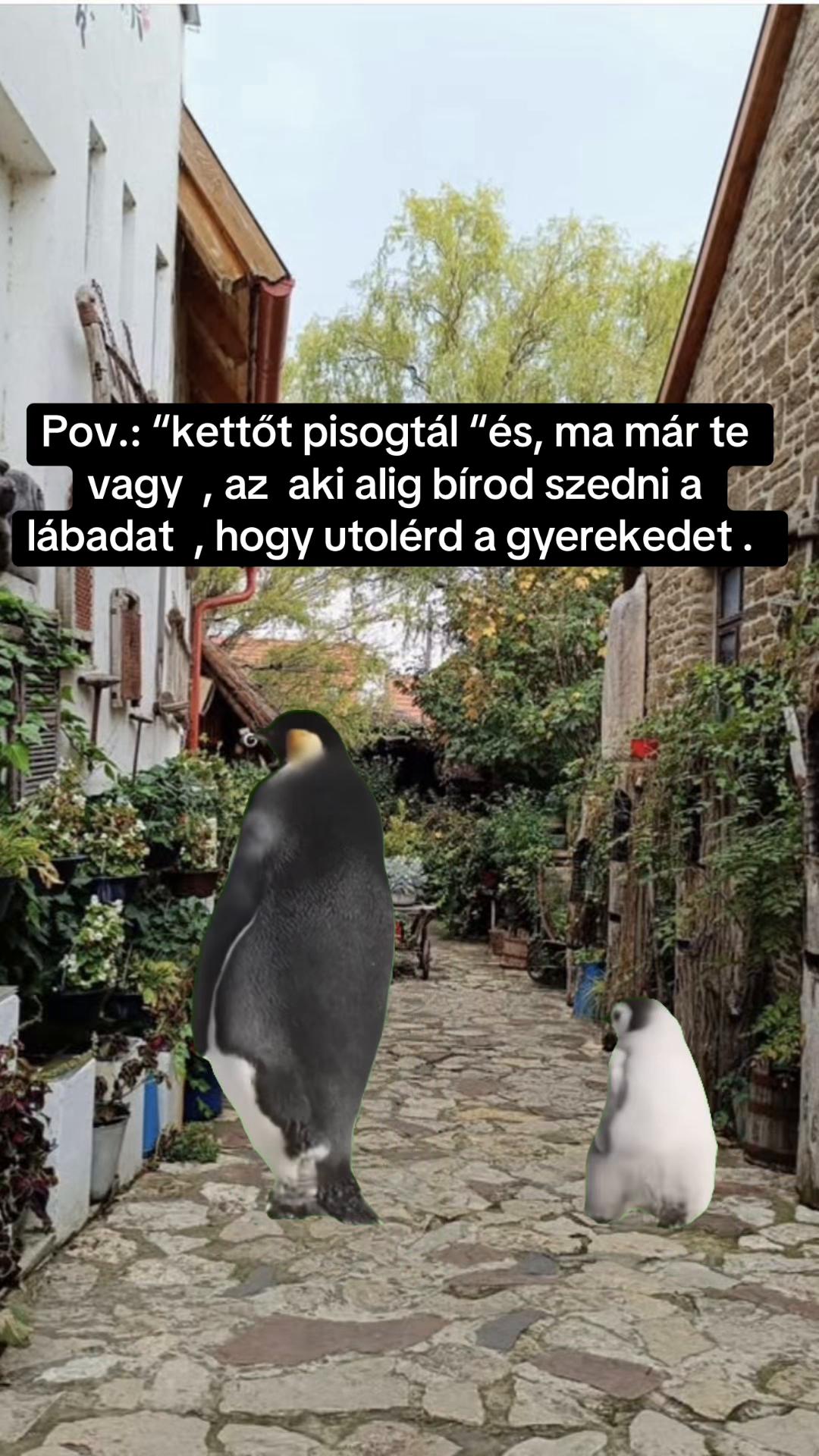 @Nem harap 🅰️ néni 🪷