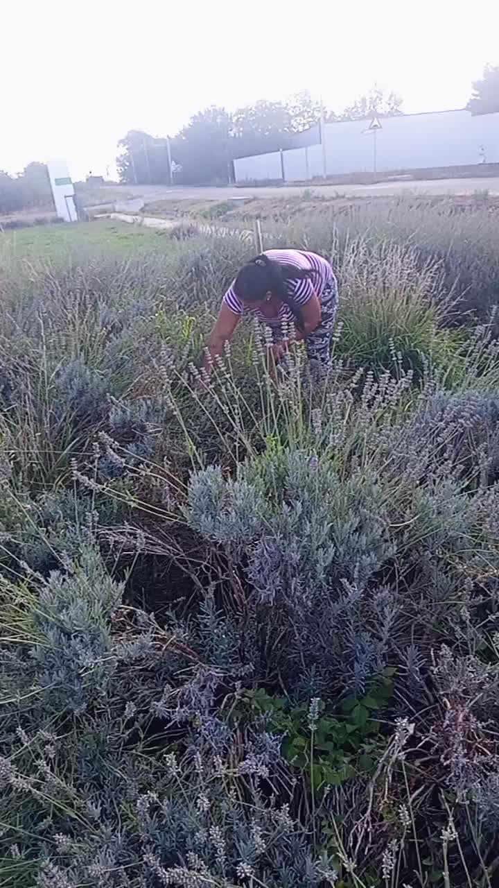 @&ouml;r&ouml;k pusztito 👿