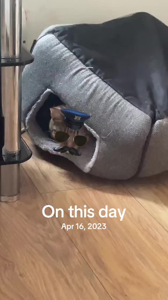 @Conallcd117