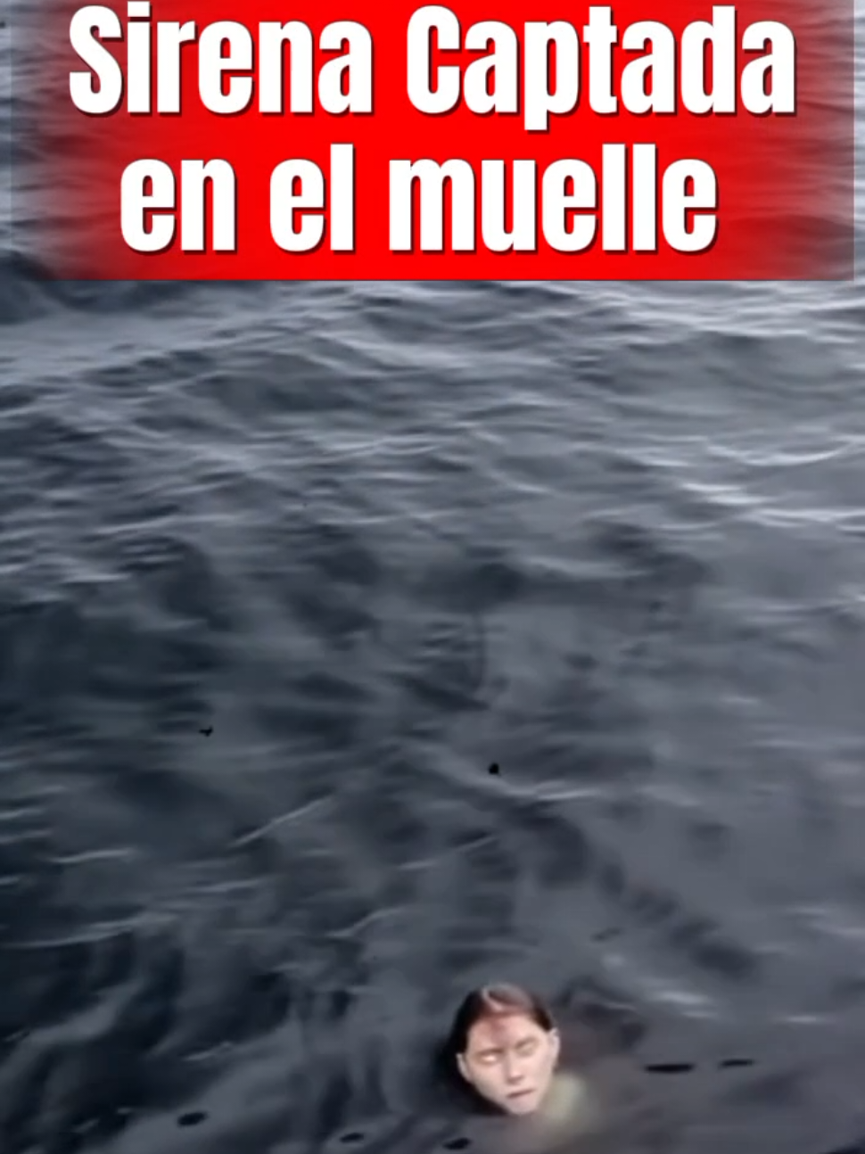 @Locura Viral 2000💥