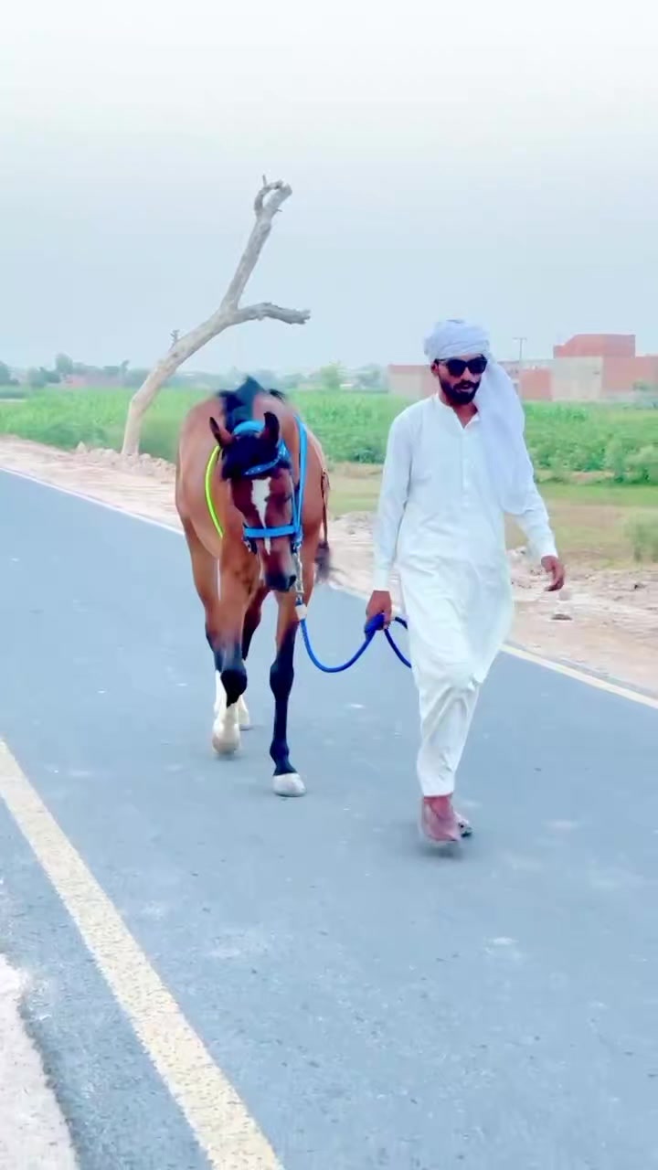 @💥Hamza Shikari 🔥