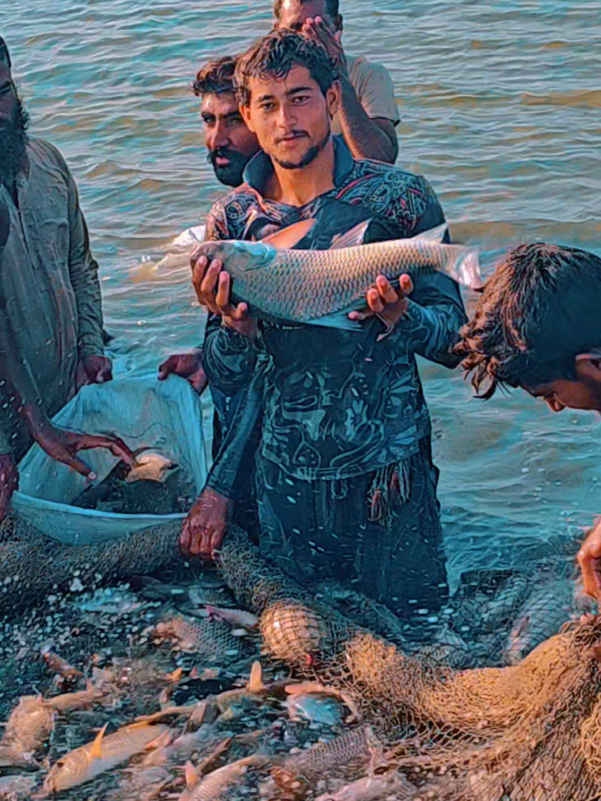 @fish catching video