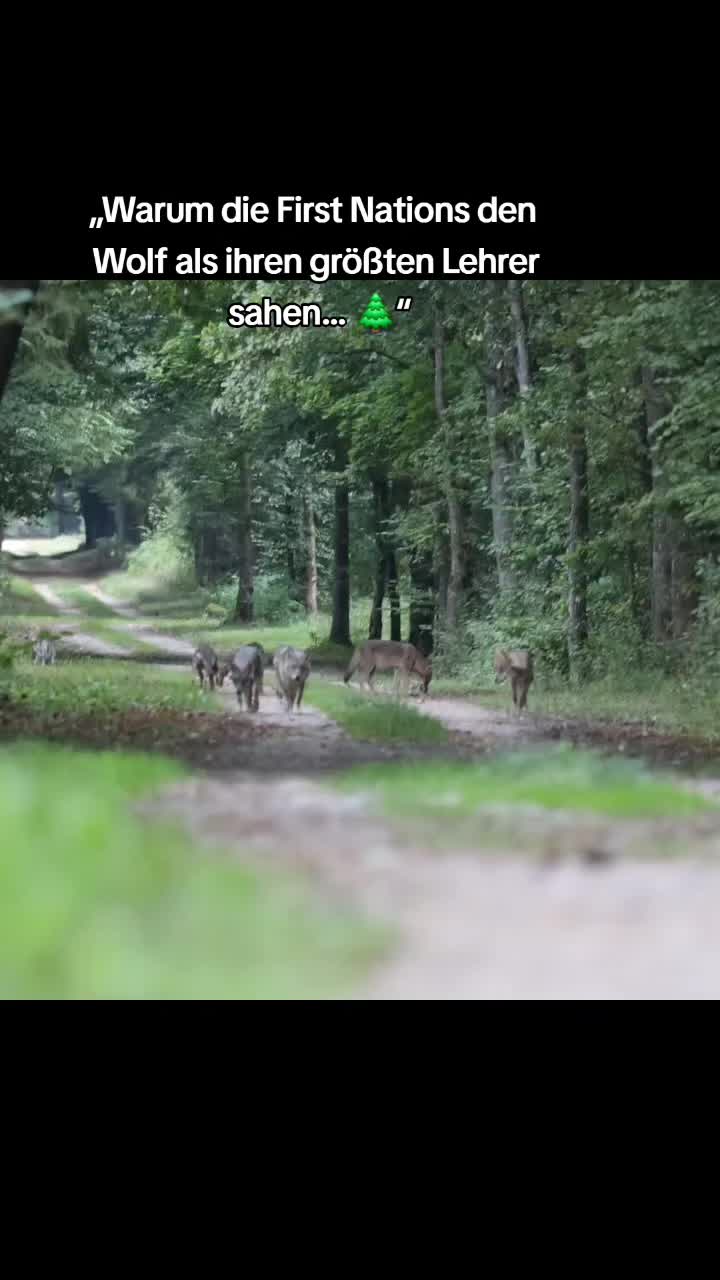 @schützt-den-wolf 🇦🇹
